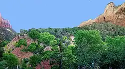 Lobe with trees on top below cliff
