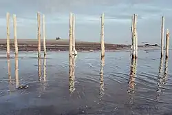 Remnants of a dilapidated dock, Sharafkhaneh&nbsp;port
