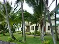 Side view of Huliheʻ Palace through the palm trees. (10/2012)