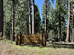 A brown sign in the forest with yellow text reading "Calaveras Big Trees State Park".