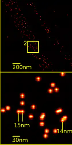 Super-resolution microscopy: Single YFP molecule detection in a human cancer cell. Typical distance measurements in the 15&nbsp;nm range measured with a Vertico-SMI/SPDMphymod microscope