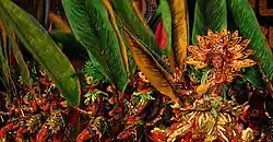 Dancers during the Sinulog Festival