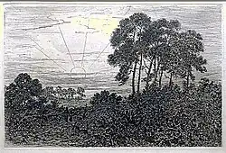 Landscape with trees and sun