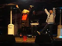 Skater performing in Maribor on New Year's Eve, 2008–09