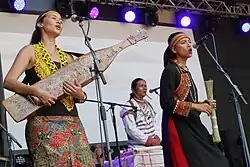 Sapeh, a traditional stringed instrument from East Kalimantan