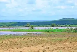 Sodo Yushuwa swamp area