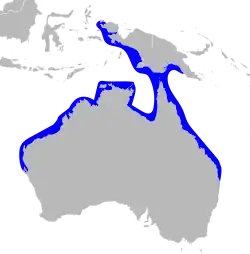 Australian humpback dolphin range