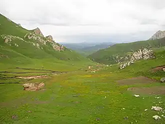 Landscape view in meadow and shrub zone of Southeastern Tibet (to which P. ludlowii is native)