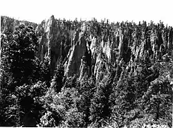 Rock spires above the East Fork of the Gila River, Gila Wilderness