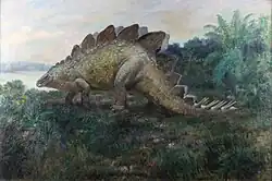 Stegosaurus