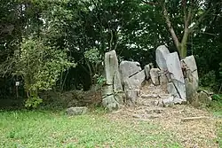 Stones called bulletproof stone