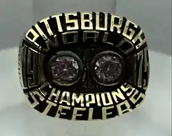 Super Bowl X (Pittsburgh Steelers)