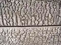 Deeply charred sugi wood surface showing carbonized grain and texture from yakisugi treatment