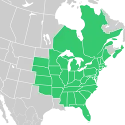 Symphyotrichum pilosum native distribution map: Canada — Nova Scotia, Ontario, and Québec; United States — Alabama, Arkansas, Connecticut, Delaware, District of Columbia, Florida, Georgia, Illinois, Indiana, Iowa, Kansas, Kentucky, Maine, Maryland, Massachusetts, Michigan, Minnesota, Mississippi, Missouri, Nebraska, New Hampshire, New Jersey, New York, North Carolina, Ohio, Oklahoma, Pennsylvania, Rhode Island, South Carolina, South Dakota, Tennessee, Vermont, Virginia, West Virginia, and Wisconsin