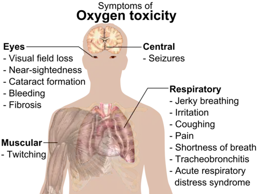 A diagram showing a male torso and listing symptoms of oxygen toxicity: Eyes&nbsp;– visual field loss, nearsightedness, cataract formation, bleeding, fibrosis; Head&nbsp;– seizures; Muscles&nbsp;– twitching; Respiratory system&nbsp;– jerky breathing, irritation, coughing, pain, shortness of breath, tracheobronchitis, acute respiratory distress syndrome.