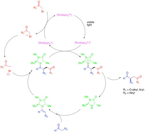 Diagram of Enantioselective Alkylation of Aldehydes via the synergistic combination of organo- and photoredox catalysis