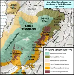 Map showing the conservation areas and forests of the eastern slopes of Table Mountain and the Back table. e.g. Cecilia Park, Kirstenbosch, Newlands Forest, and Groote Schuur Estate. The north face of the mountain (Table Mountain flanked by Devil's Peak to the east and Lion's Head to the west, as well as the "Twelve Apostles" on the Atlantic side are also shown.
