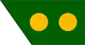 Lieutenant colonel