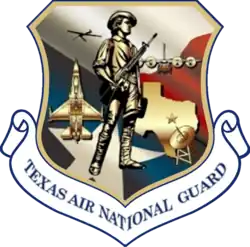 Texas Air National Guard patch