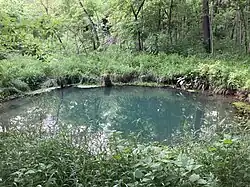 Deep blue circular body of water surrounded by a variety of green foliage and trees