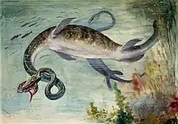 Snake-necked Elasmosaurus