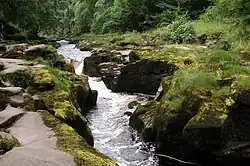 The Strid near Bolton Abbey, 54°0′15.18″N 1°54′13.3″W﻿ / ﻿54.0042167; -1.903694