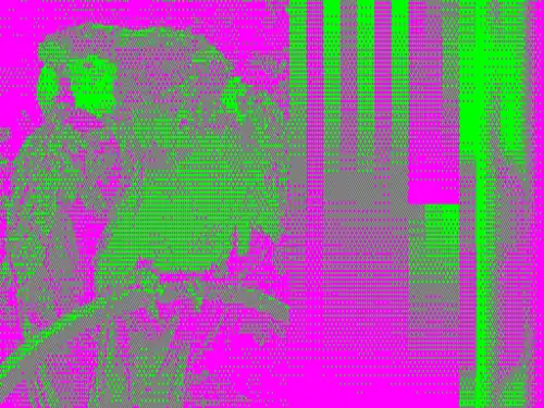 High Resolution 512x192 (Magenta & Green palette)