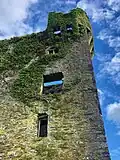 Togher_Castle_-_Northwestern_Machicolation.jpg
