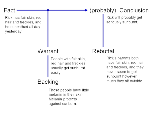 Toulmin argumentation framework example involving a claim, grounds, warrant, qualifier, rebuttal, and backing.