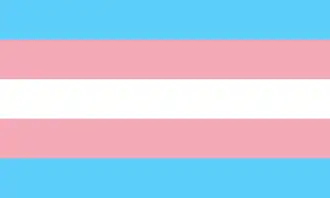 Trans pride flag, made up of horizontal stripes of (from top to bottom) light blue, pink, white (which represents nonbinary people), pink and light blue.