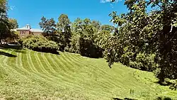 North meadow in Tregaron Conservancy