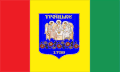 Flag of Troitske