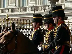 Full dress of the Royal Horse Artillery, as worn by the King's Troop.