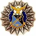 Permanent Professor USAF Academy Badge*