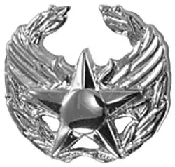 Commander's insignia*