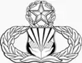 US Air Force Chaplain Assistant Badge-Master