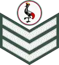 Staff sergeant (Ugandan Land Forces)[46]