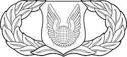Operations Support Badge