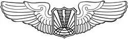 Remotely-Piloted Aircraft Pilot Badge