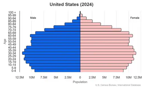 Population pyramid of the United States in 2024. The number of Americans of college age will drop by the late 2020s, at a faster rate by the late 2030s.