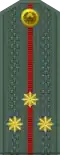 Katta leytenant (Uzbek Ground Forces)[22]