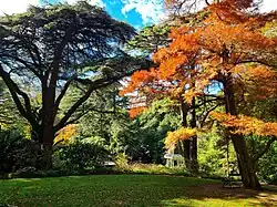 Garden view looking toward duck pond and Treehouse