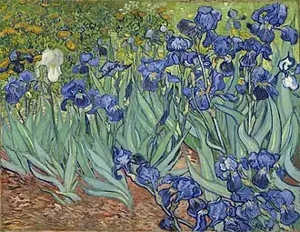 Irises, 1889
