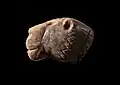 Lion head sculpture, Vogelherd cave