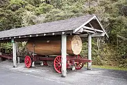 Kauri log at the Warkworth Museum
