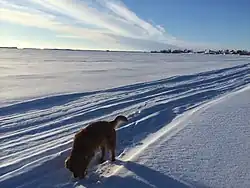 Trail near Whatì (2014)