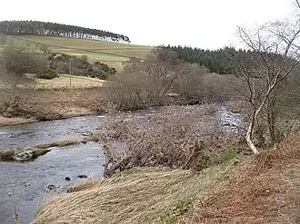 Whiteadder Water running around Abbey St Bathans (March 2010)