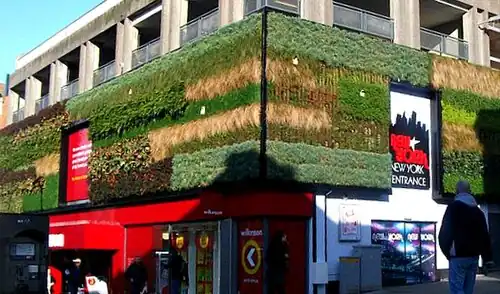 The Green Wall at the southern end of Sutton High Street