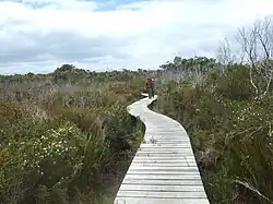 Hiking track to the southeast.