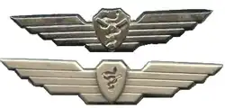 Flight Doctor's and Flight Combat medic's Badge (two versions)